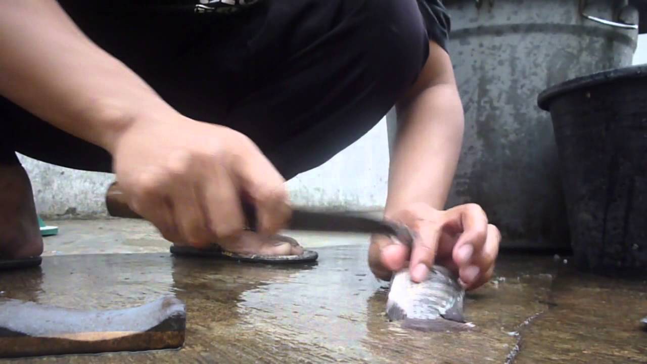 CODJ#2 How To Cleaning Fish