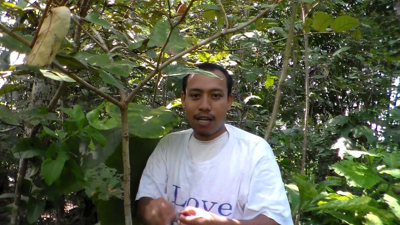 CODJ#19 How To Make An Organic Red Paste