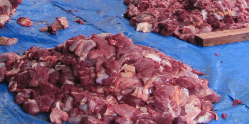 kurban