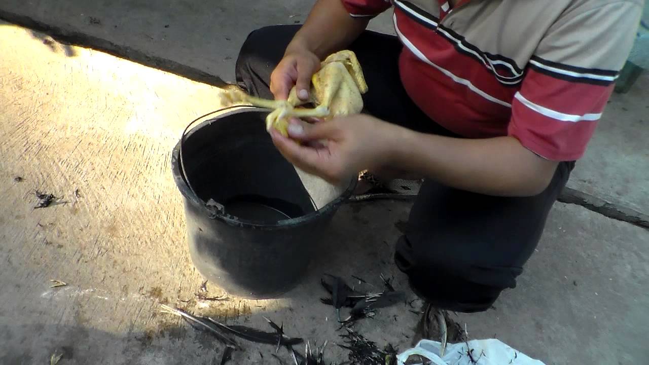 CODJ#64 How To Simple Cleaning Quill