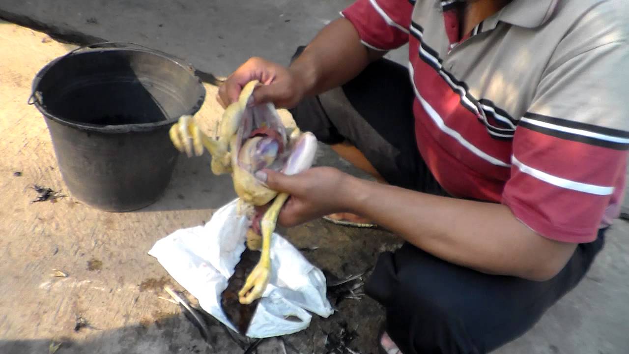 CODJ#65 Simple first way to splitting Chicken