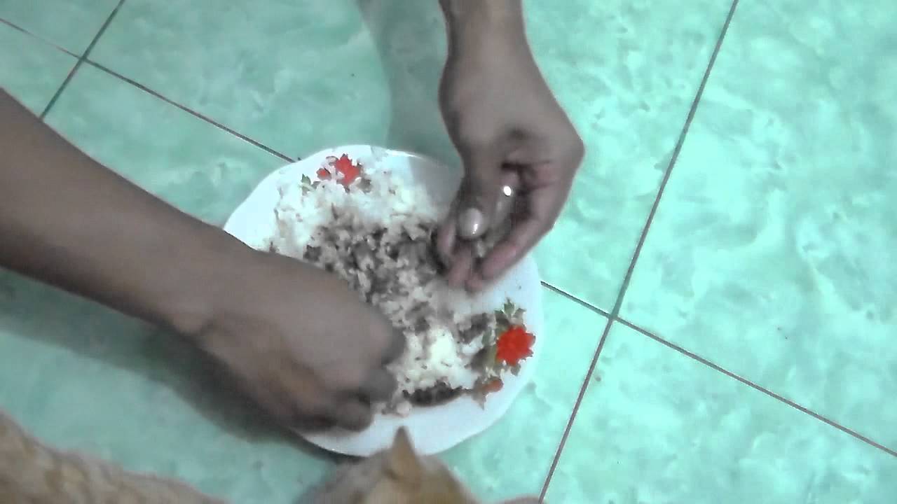 CODJ#73 How To Feeding Jatisari’s Cat