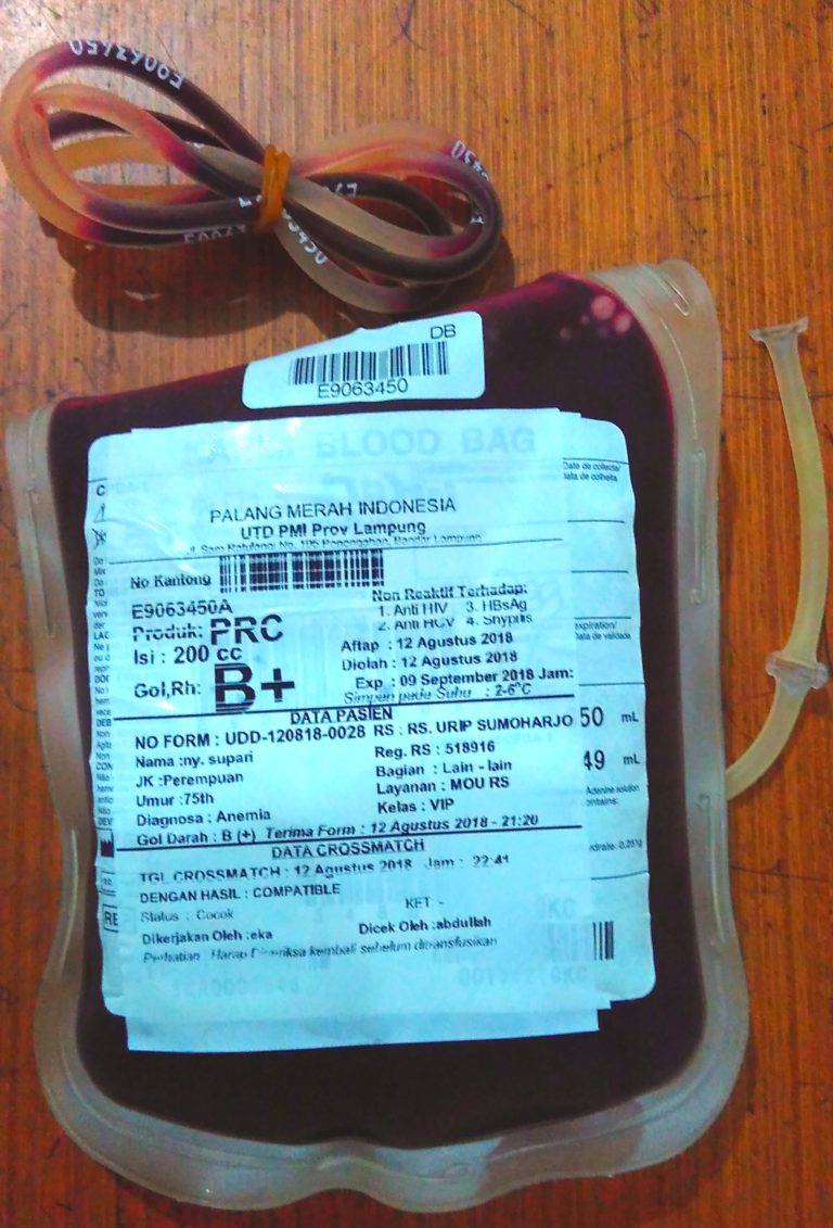 10 Langkah Sebelum Donor Darah